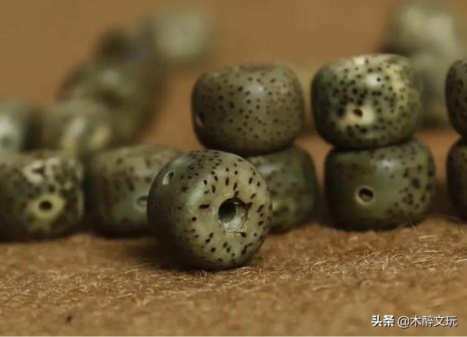 星月菩提的阴皮,星月菩提绿阴皮是怎么形成的