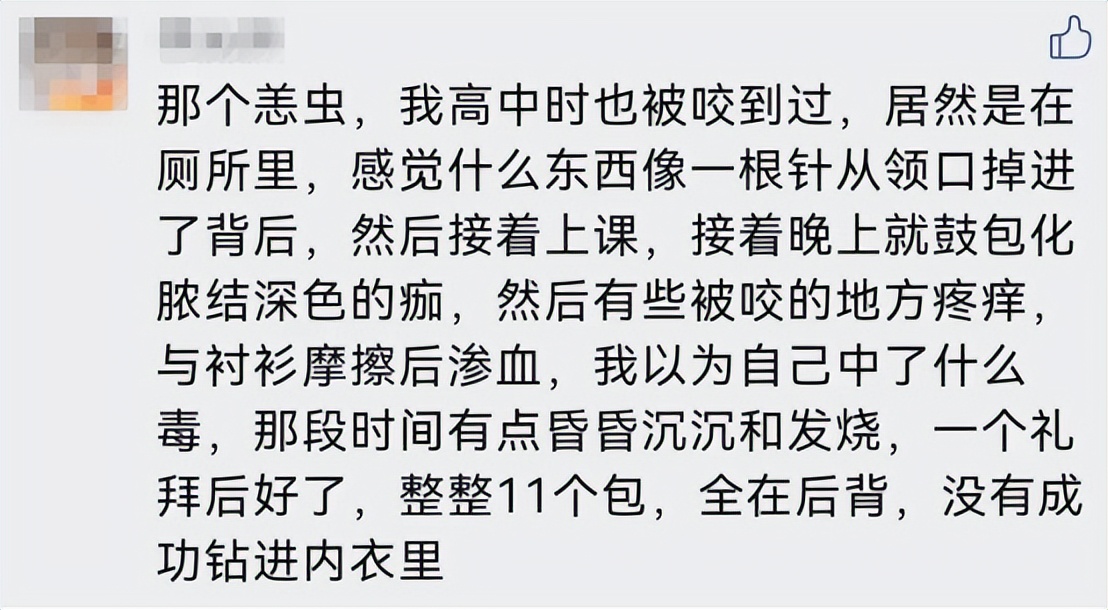 恙虫到底有多可怕？致死率极高