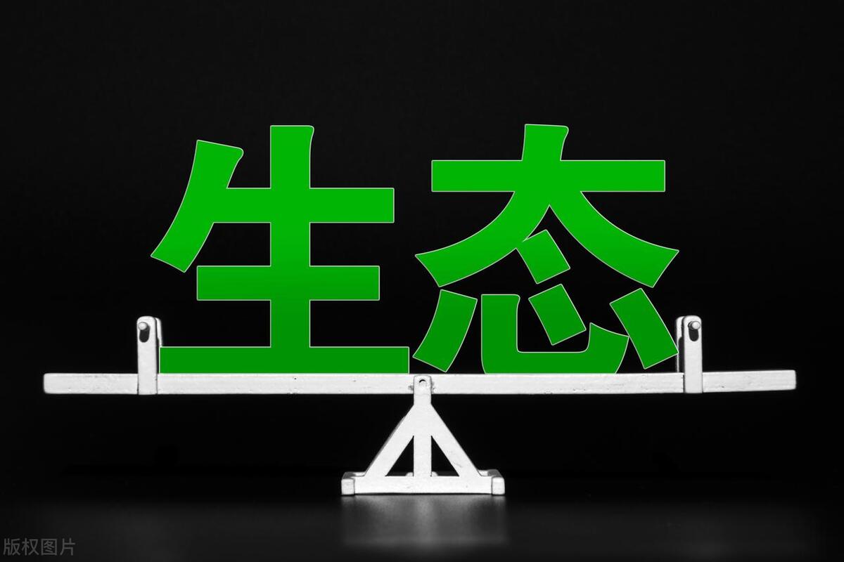 电商冷门暴利行业排名,2017淘宝冷门暴利行业