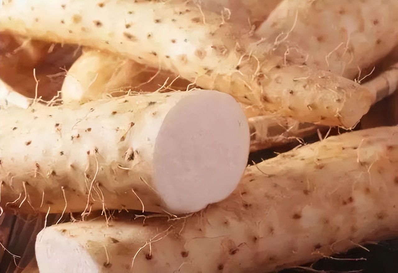 吃腰子羊鞭羊蛋这些真的会补肾吗,是吃腰子补肾好还是枸杞泡茶好点