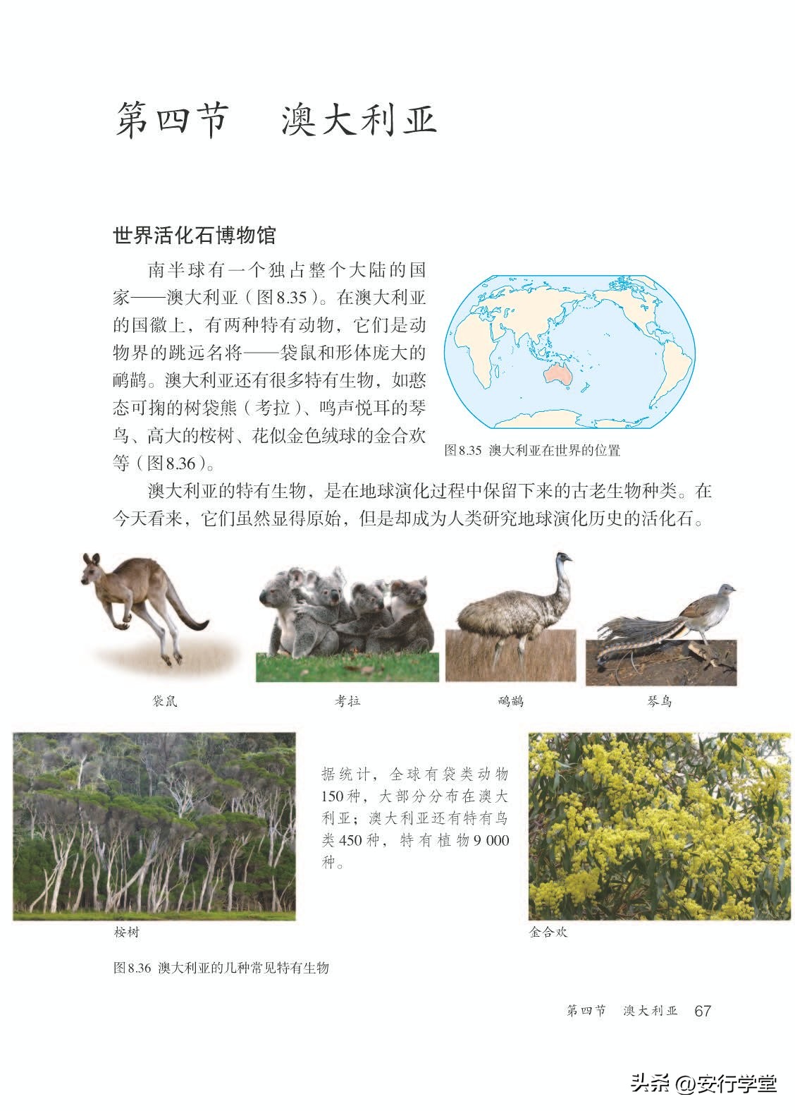 初中地理教学七年级下册第一课,初中地理七年级下册湘教版