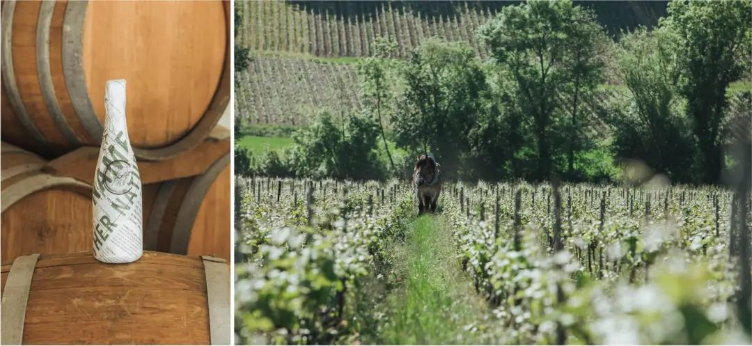 湾区羙好生活周报|能工巧艺,献浓情蜜意