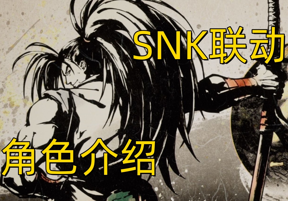 dnfsnk霸王丸展示,dnfsnk霸王丸专属光环