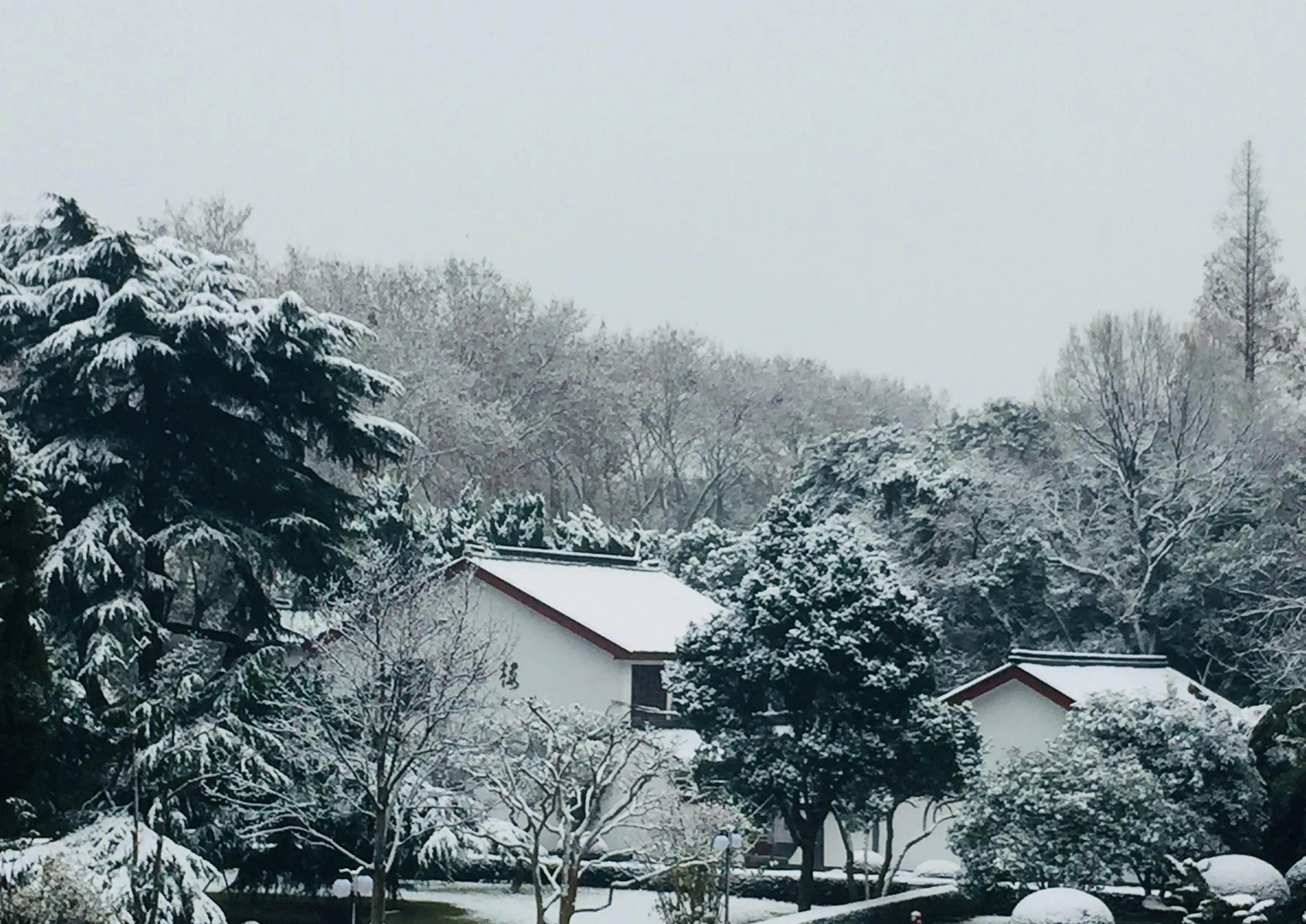 上海市松江二中学校,上海市松江第二中学上海排名