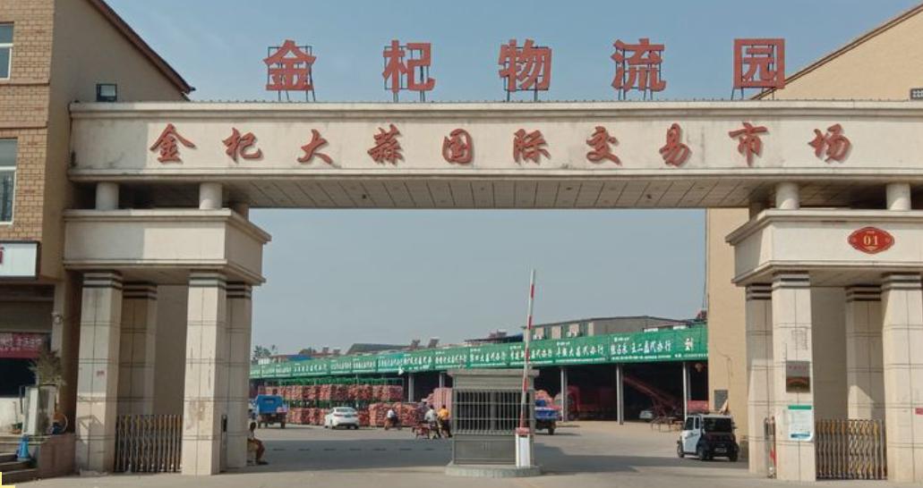 金乡县大蒜是全国第一吗,金乡大蒜入选前十强意味着