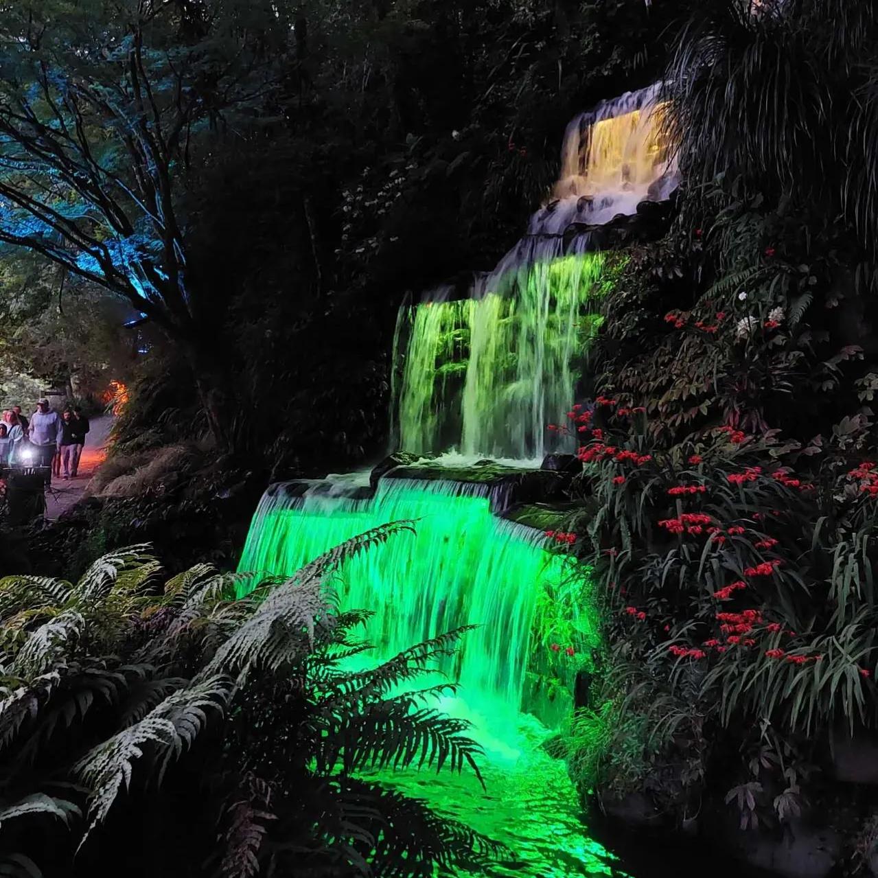 卯兔贺岁迎新纳福,卯兔新年作品