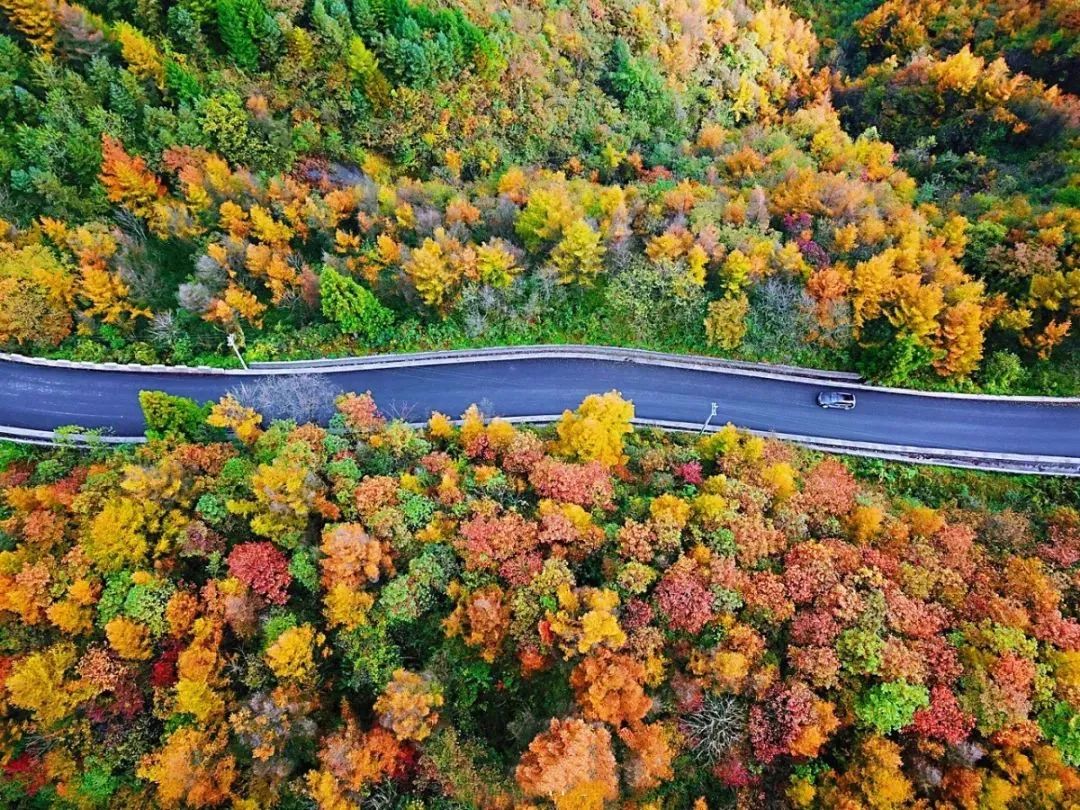 湖北恩施夏季热吗,湖北恩施人间仙境图片