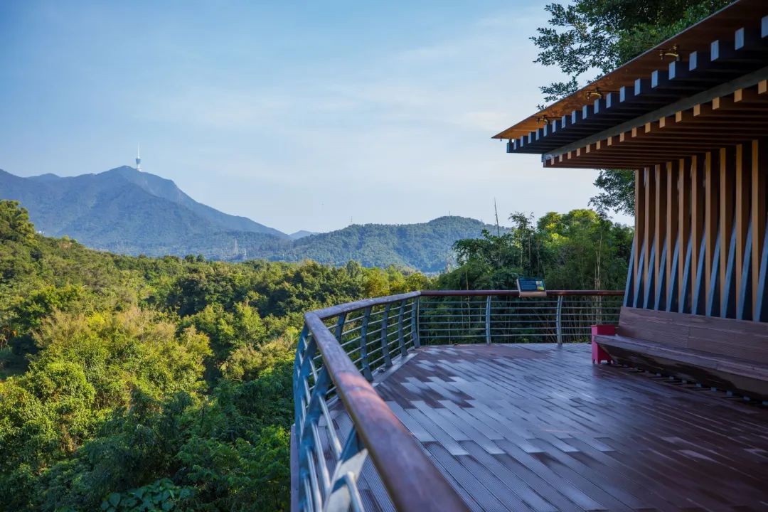 深圳淘金山绿道公园攻略,深圳淘金山绿道风景视频