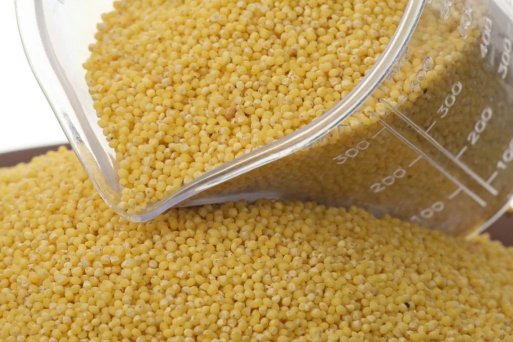 害喜治疗办法,害喜什么意思