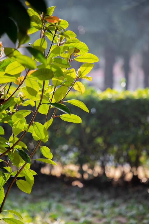 春天藏在温暖的阳光里,春天藏在生活里