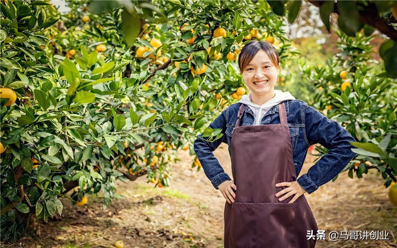 2022年农村行业最赚钱最有前景,适合穷人的18个创业项目农村