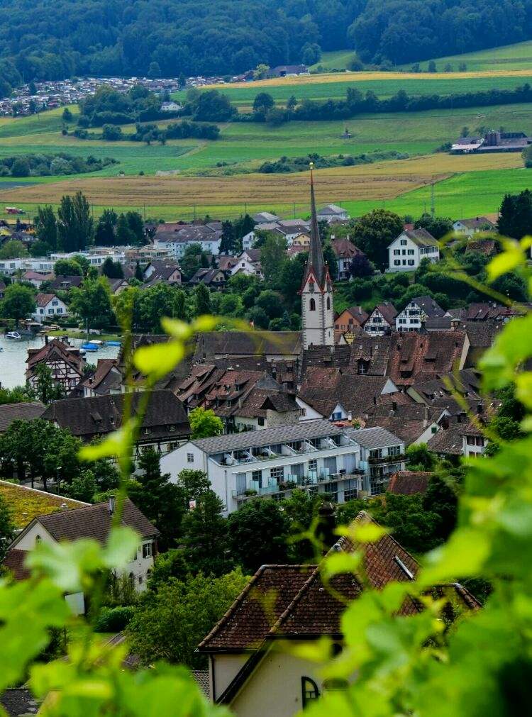“瑞士”现状，带你看看一个真实的瑞士