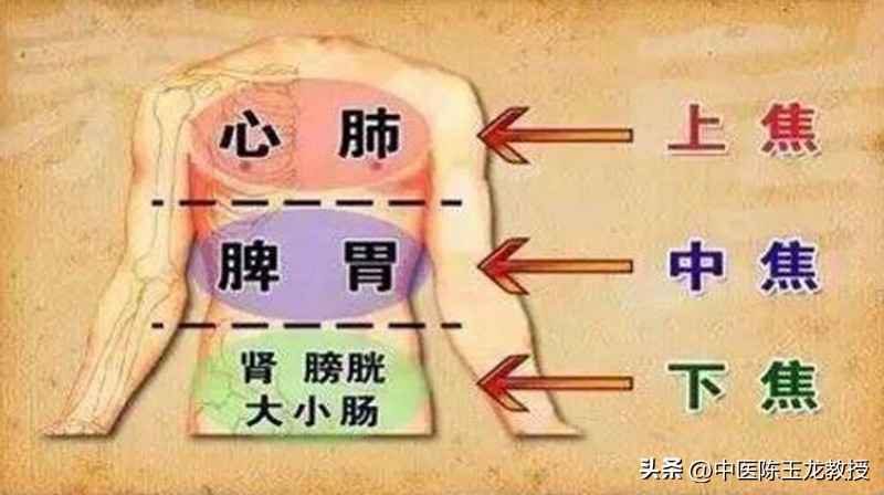 温阳化湿健脾茶饮,祛湿不伤脾胃不伤阳气