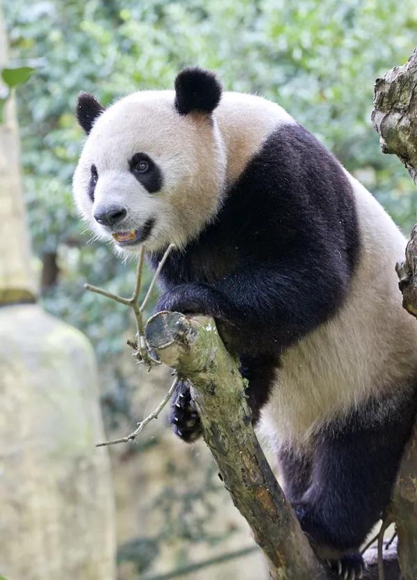 美国的主要职业构成和中国的区别