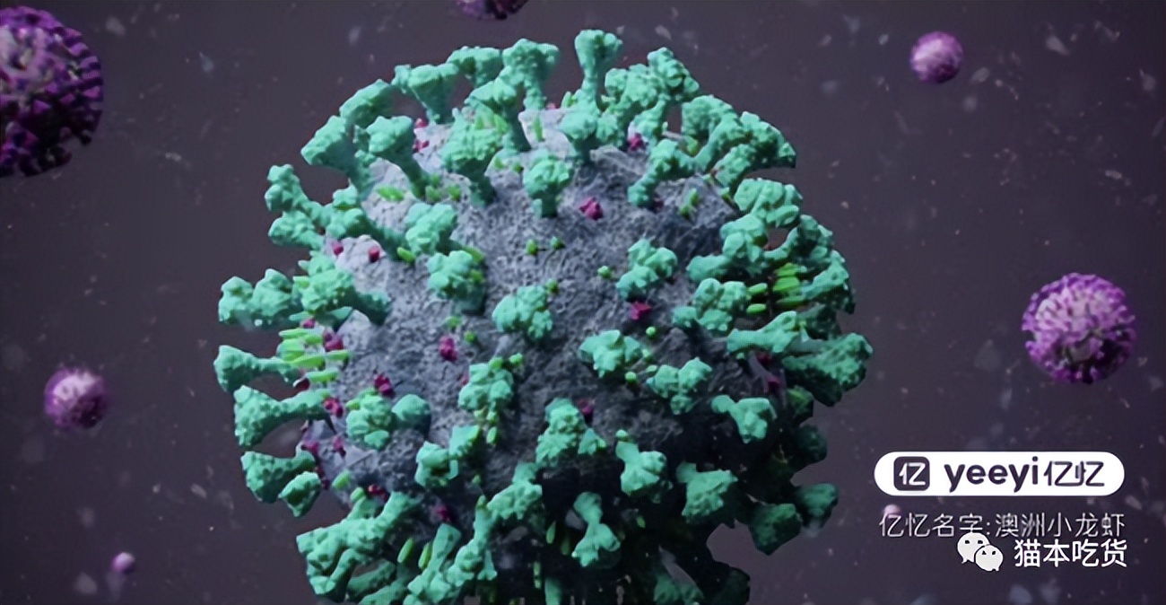 澳洲数万人复阳,2000+人死亡!华人:这个地方已经沦陷了