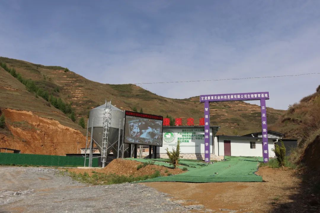 凝神聚力真抓实干推动高质量发展,聚焦三年行动凝神聚力促发展