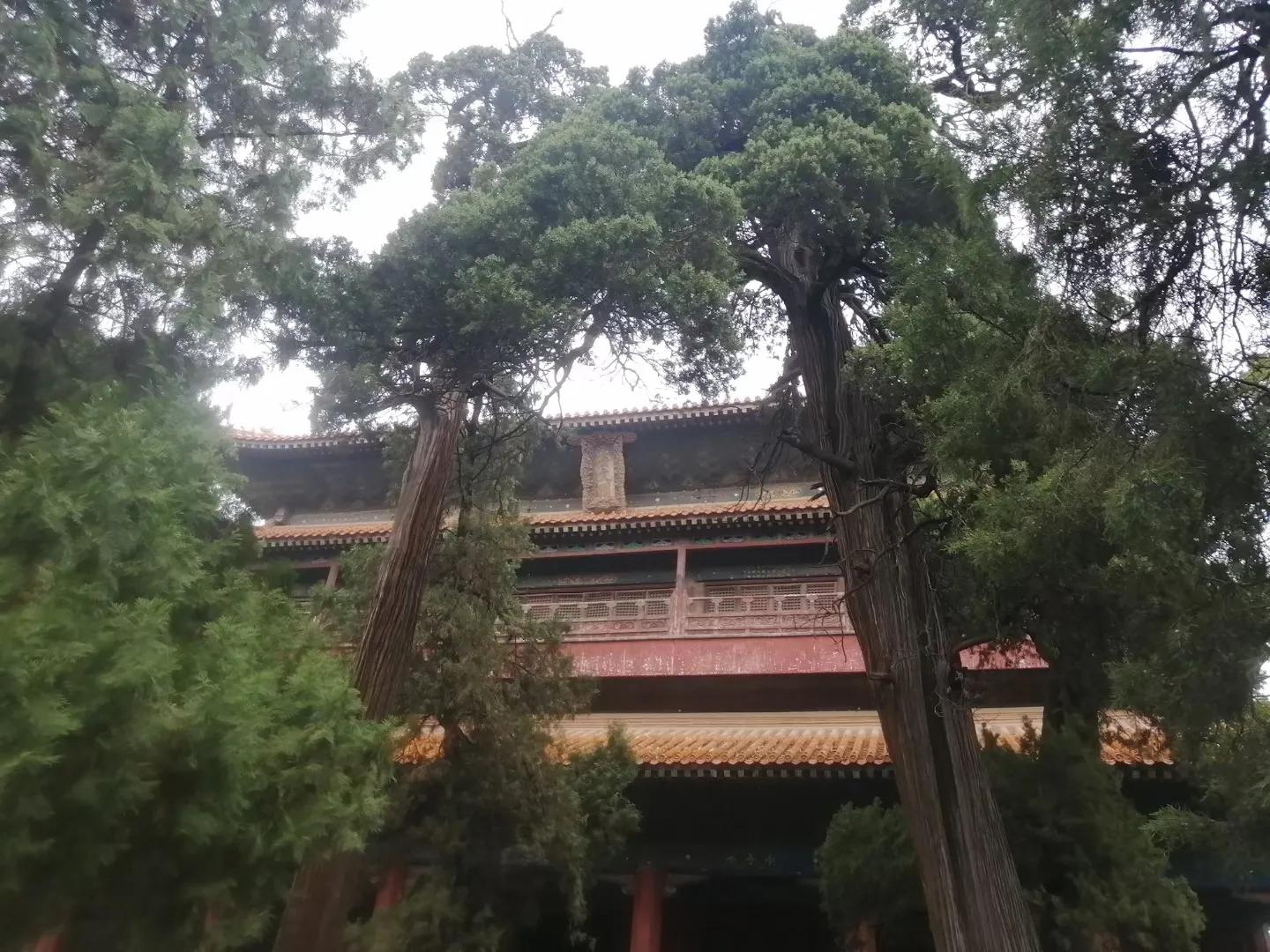 孔庙碑隶书作品临摹,山东孔庙有隶书三大名碑