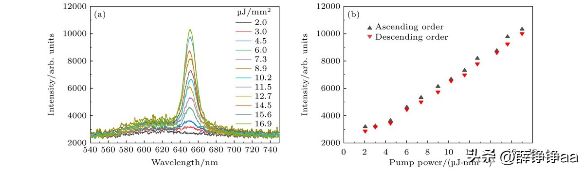 怎样辨别细菌肠胃炎,拉曼光谱法在药品检测中的应用
