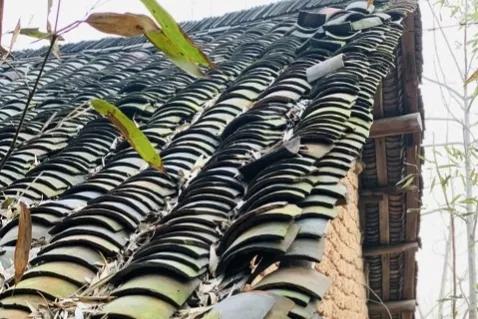 买来的媳妇（下）小小说