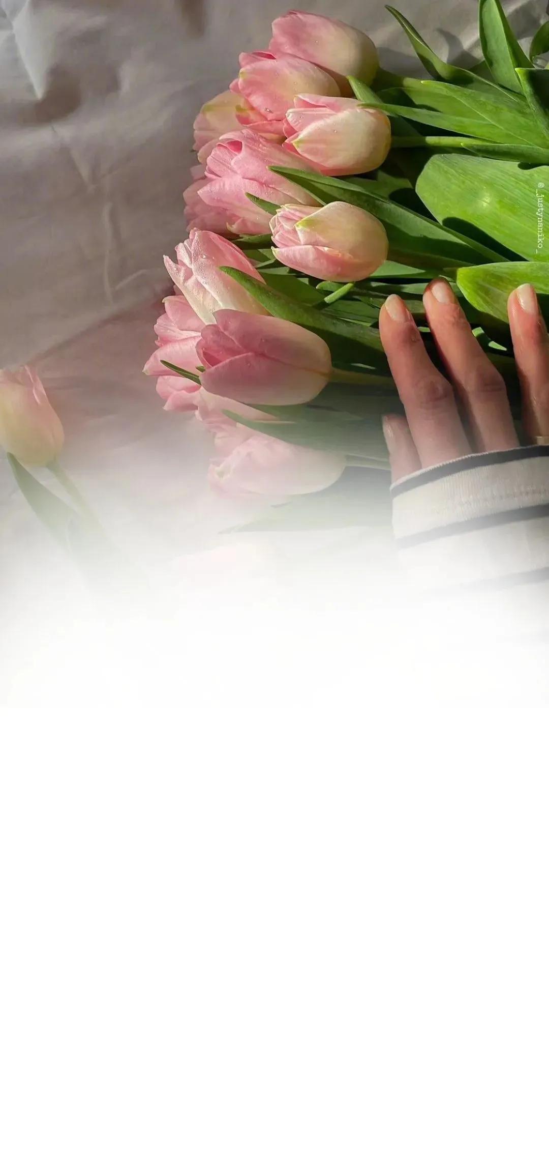 渐变晕染聊天背景图,渐变式聊天背景图