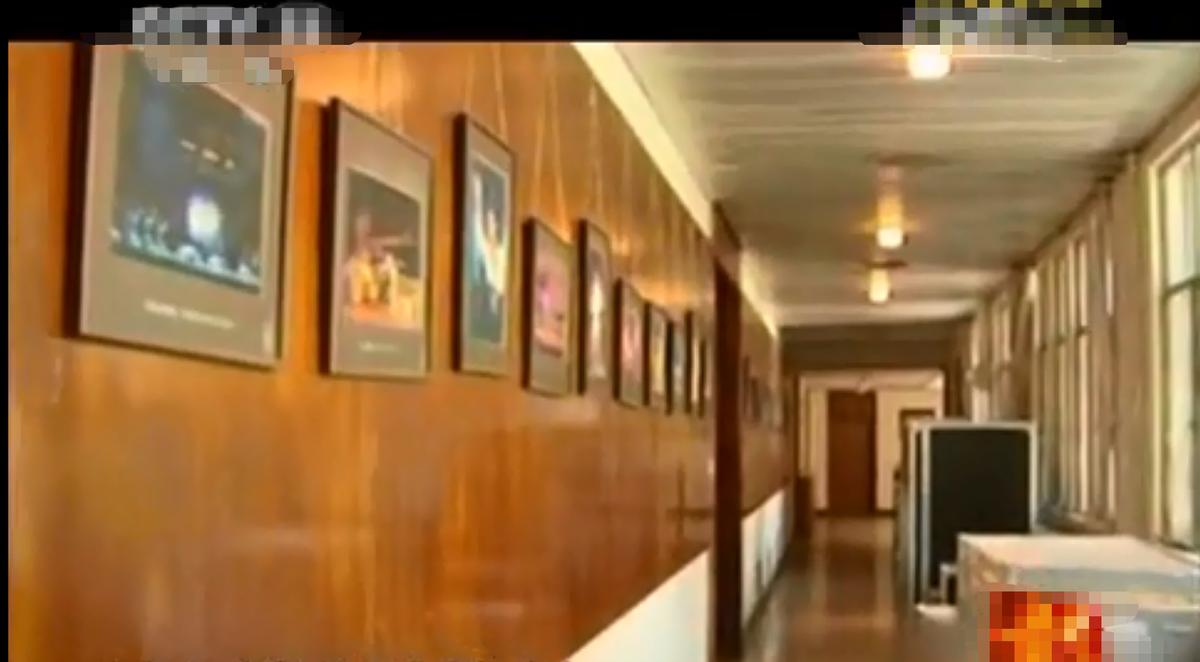 郑绪岚成名作北京卫视,郑绪岚如今有工作吗