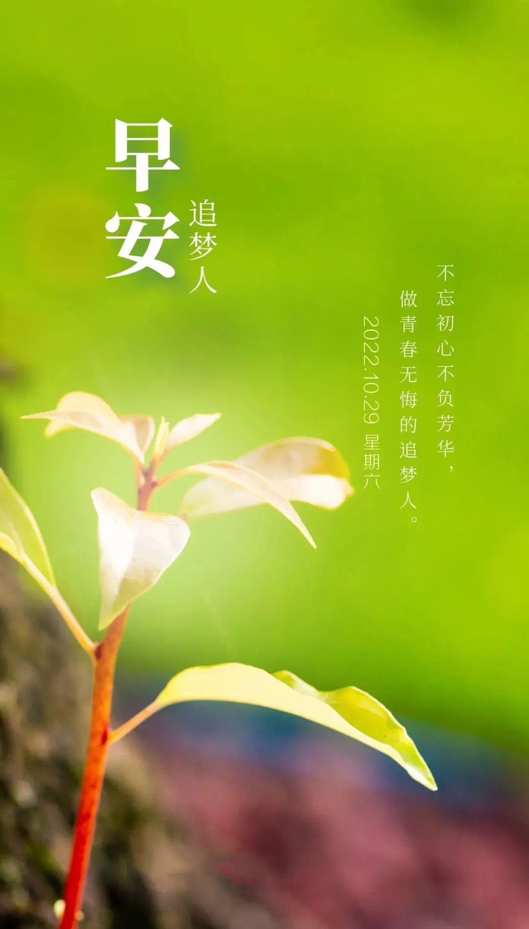 2020年早安心语正能量语录,2023年12月23日早安正能量语录