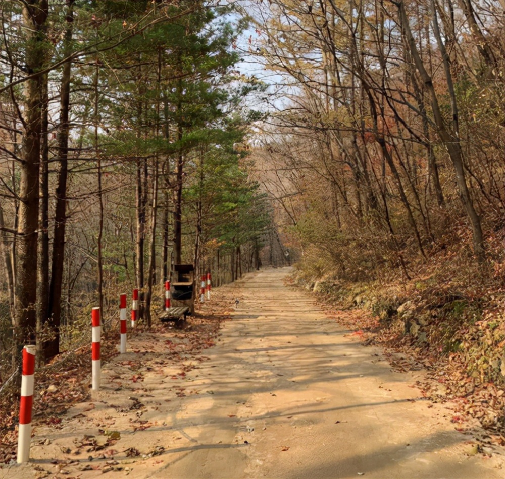 固特异轮胎质保范围,固特异轮胎安全性