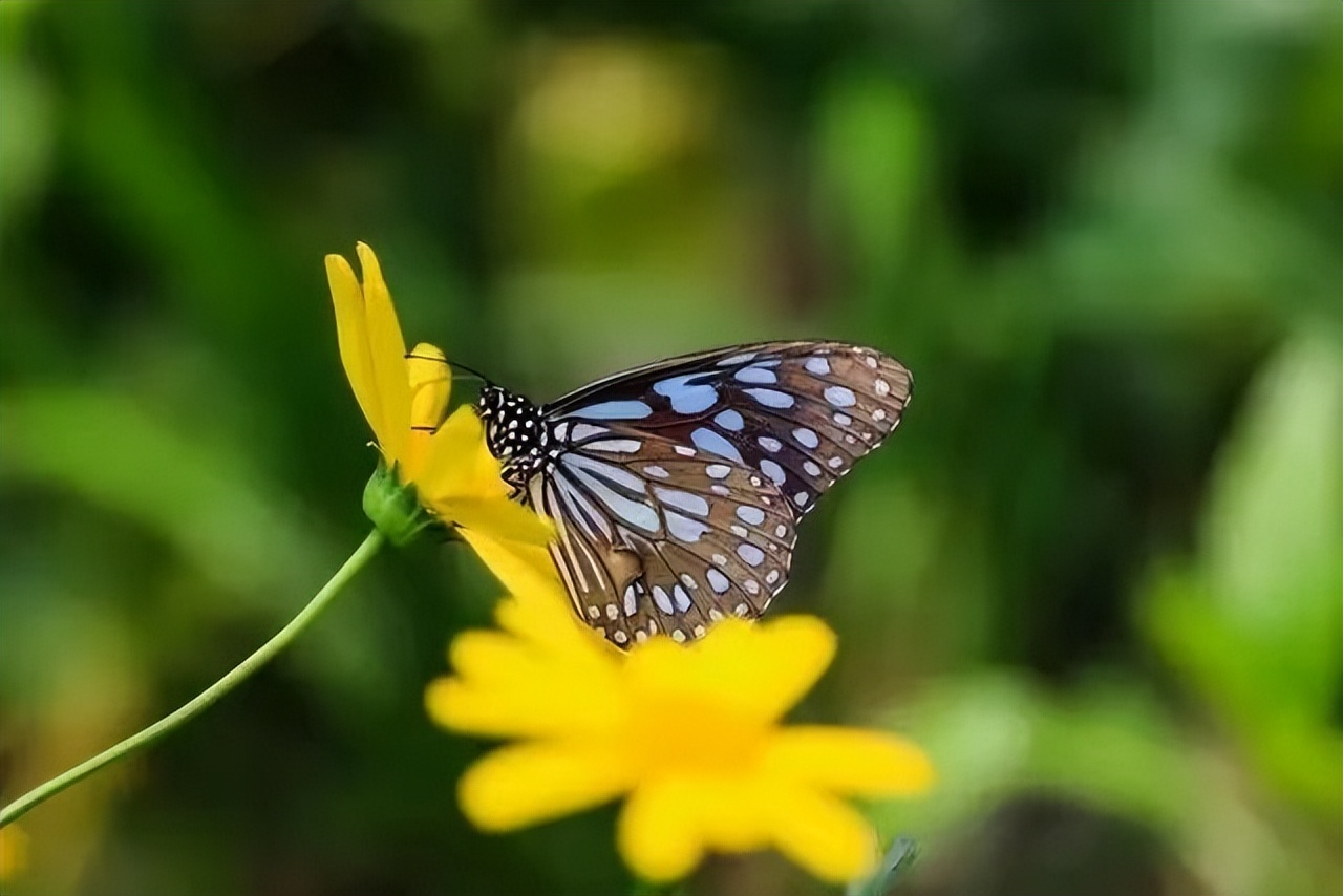 人退休了其实只剩下一件事要做,退休以后最好的活法就这几句话