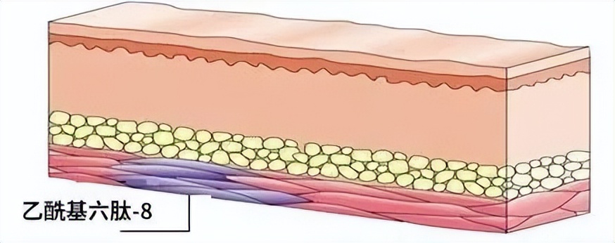 国外大牌成“上门女婿”，这些国货集团出息咯！