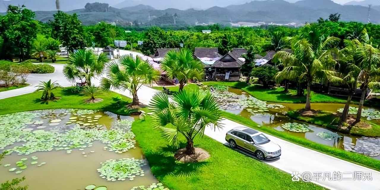 小众旅游景点西双版纳动物园,西双版纳动物多的景点