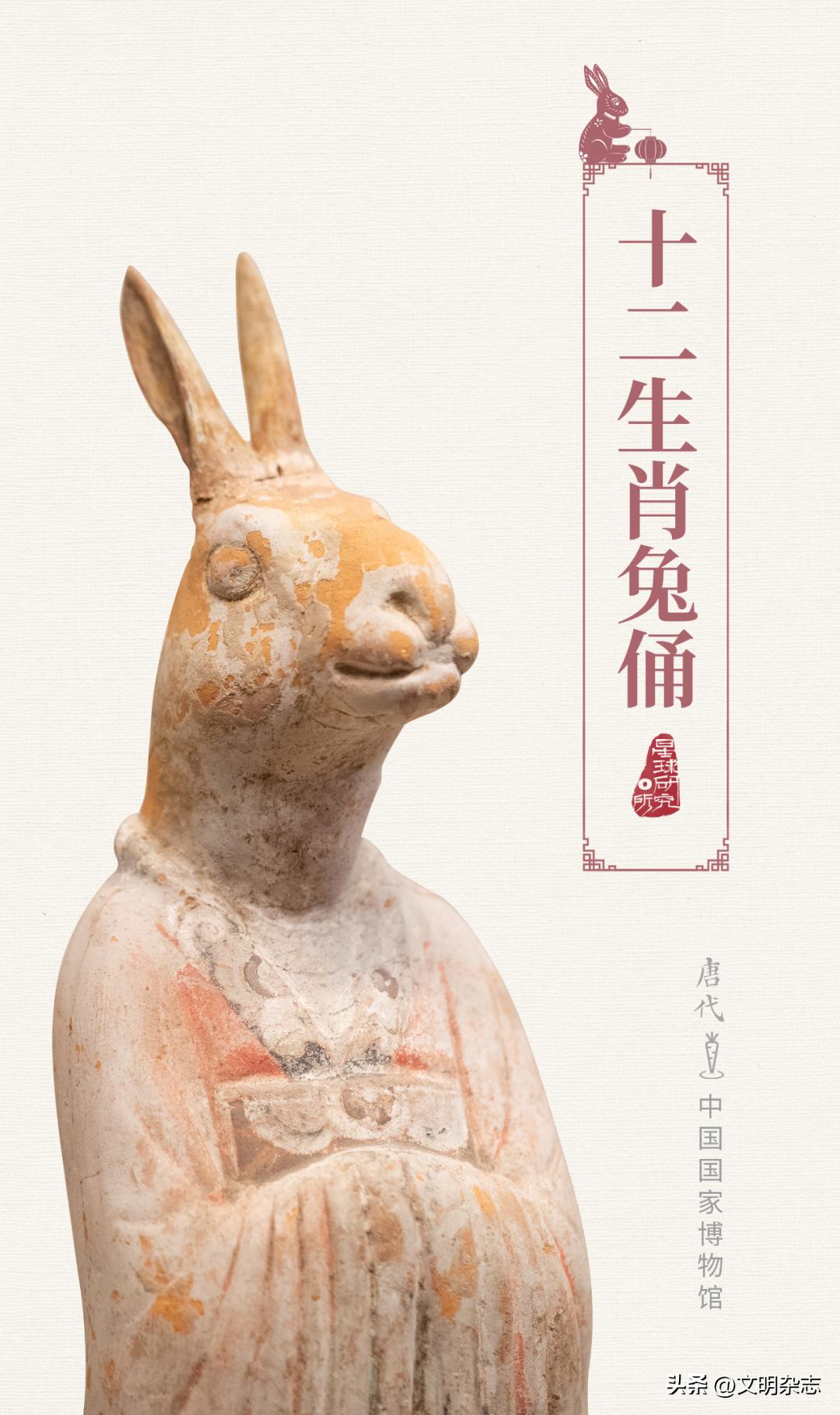 兔子来阳台,兔子来到新家