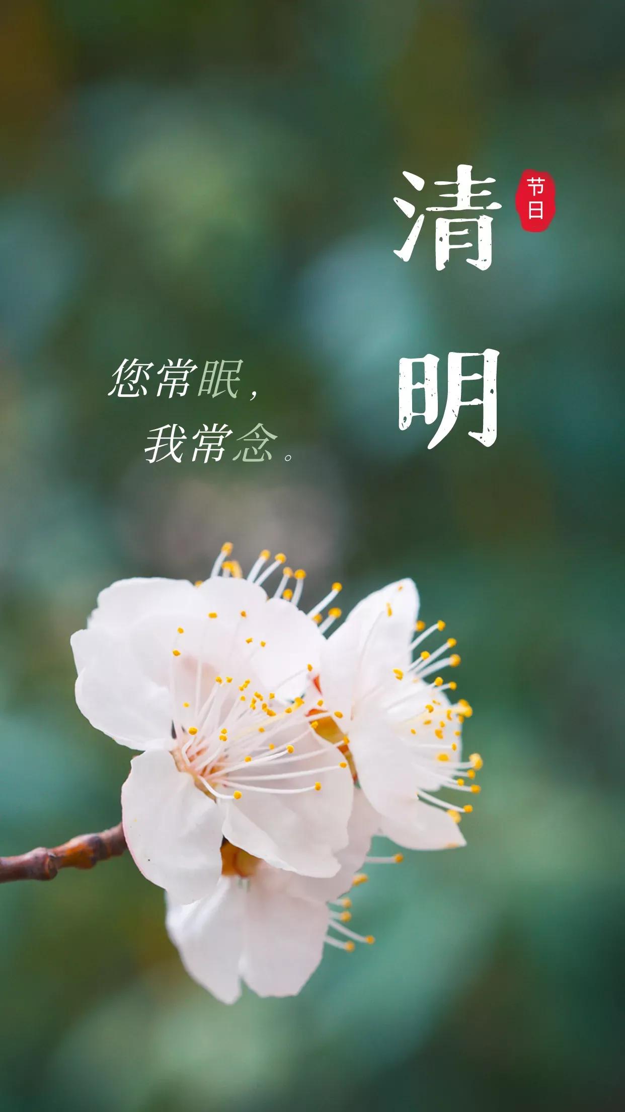 清明节思念已逝亲人的文案,清明节文案朋友圈句子