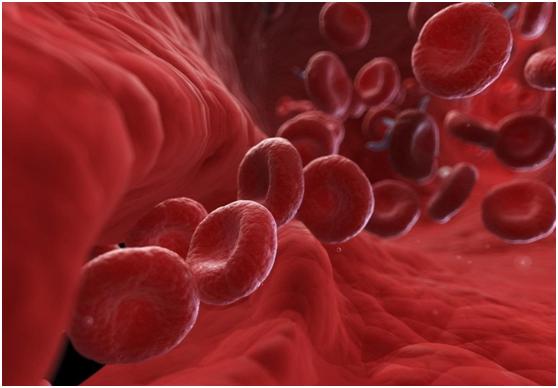 喝完酒见风就晕怎么回事,醉酒后睡醒还晕怎么办