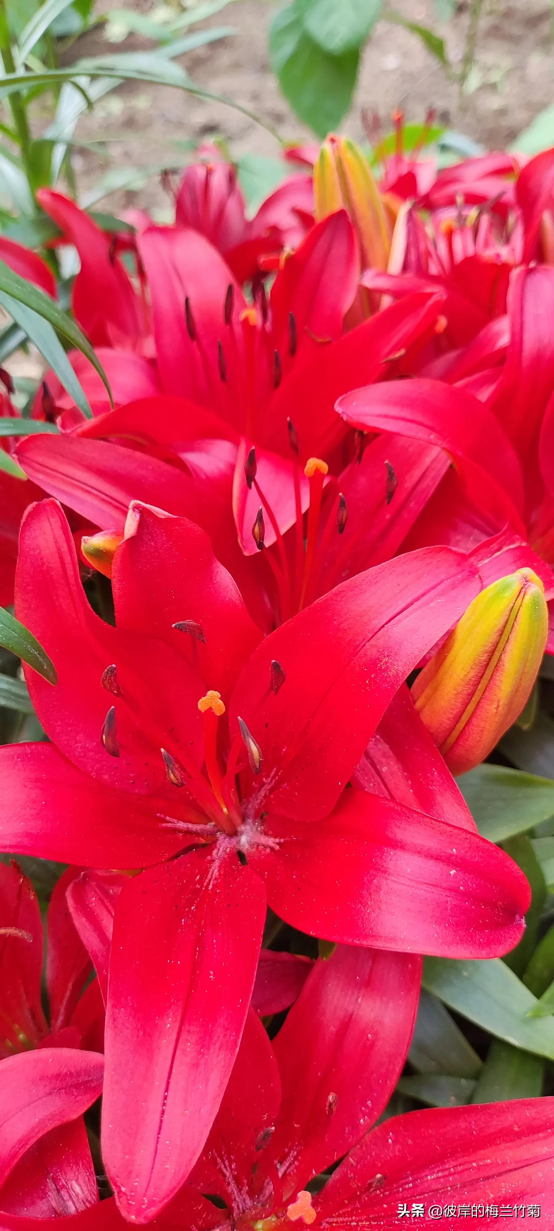 分享一些干货是什么意思,分享干货动作