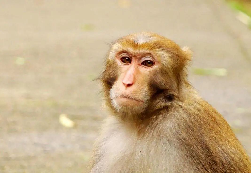 抑郁症自我心理疗愈,抑郁症心理治疗的基本过程