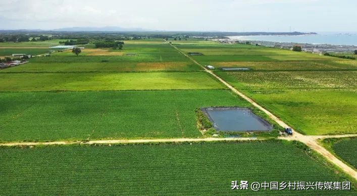 2022乡村振兴扶持项目方案,2023年乡村振兴项目补贴申报指南