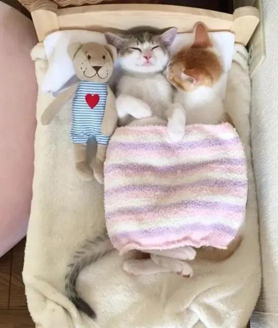 实体店万能营销文案,国庆营销活动朋友圈文案