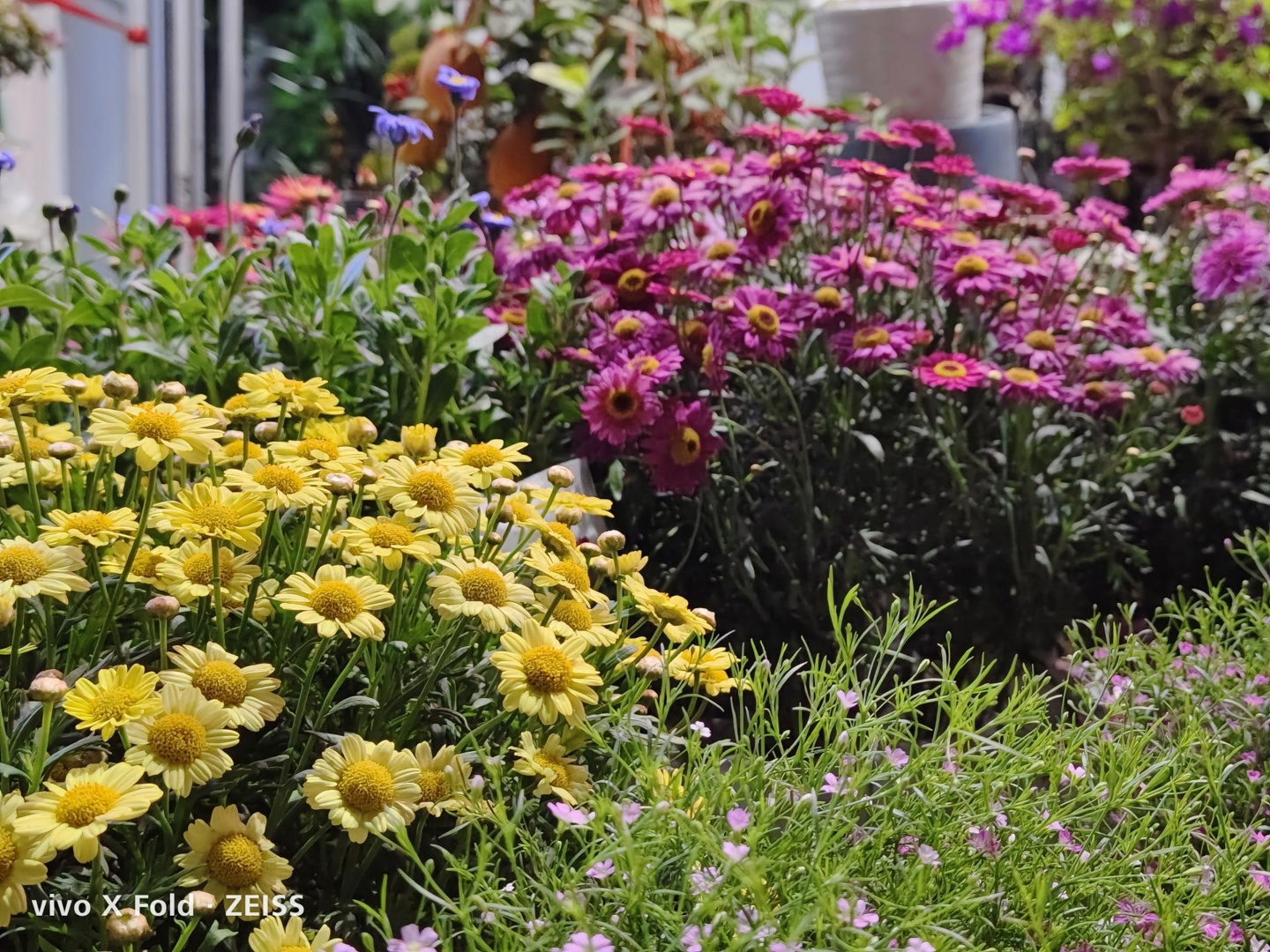 vivoxfold折叠屏评测,vivoxfold对比华为matex2