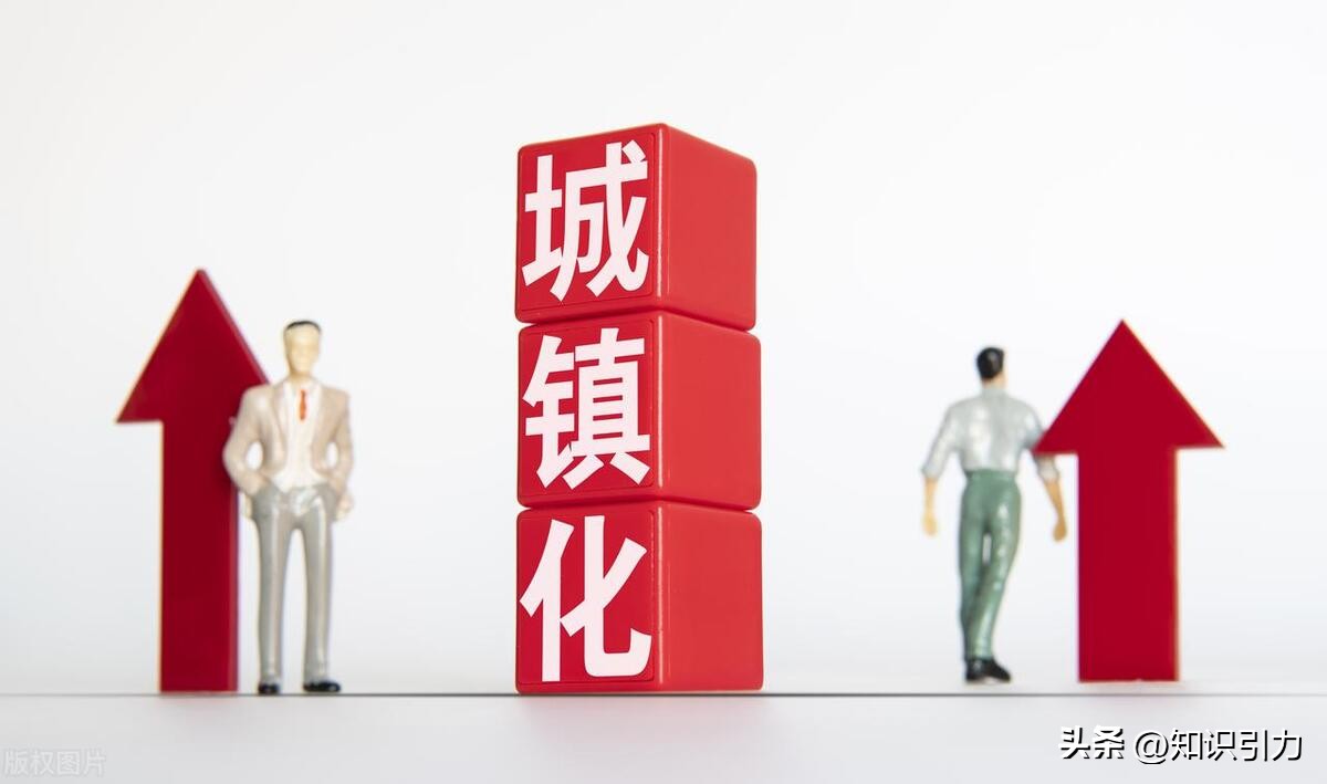 城镇化发展过程中可能出现的问题,城镇化发展的形势及存在的问题