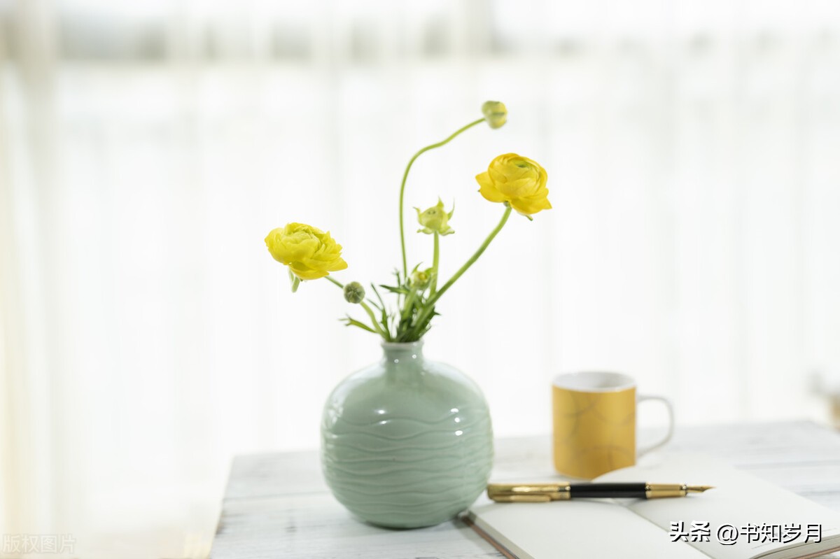 50-60岁以后，把这4样经营好，就是在给家里赚钱