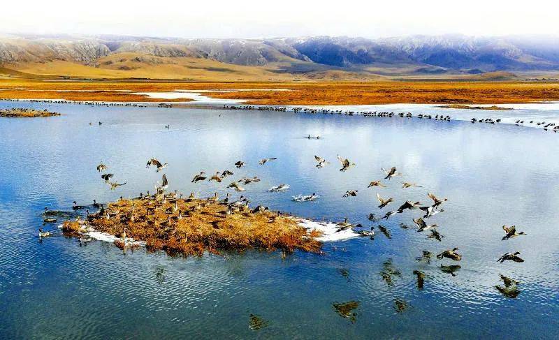 美丽四川之旅,美丽藏区行首站走进四川省甘孜州