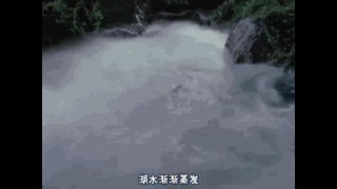 佐菲奥特曼百科,佐菲奥特曼怪兽百科大全