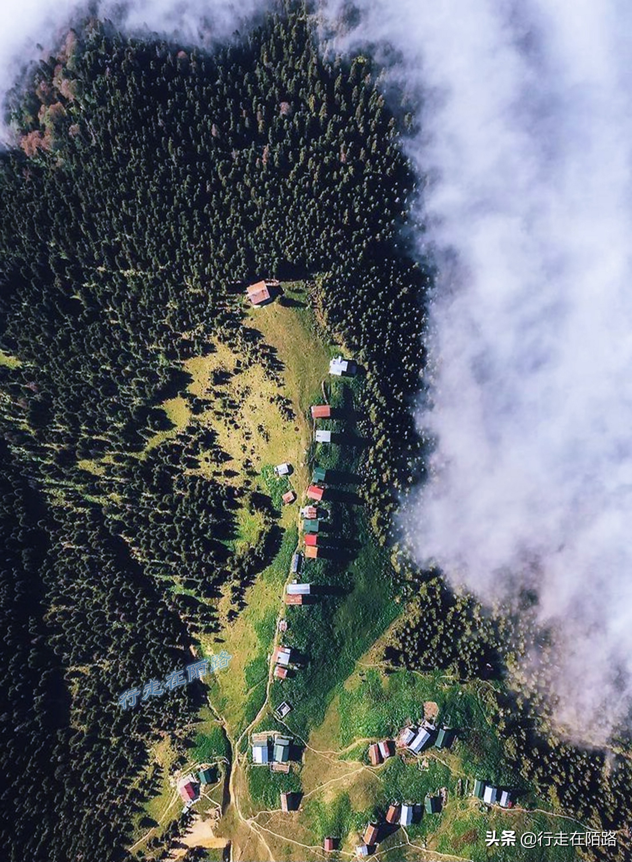 土耳其人茶文化,土耳其中文向导