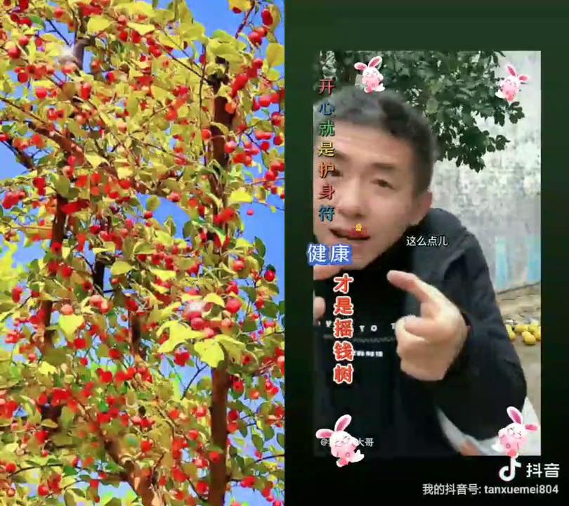 我的两个姨姐，住城里踢了什么？