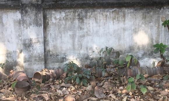 村里的花盆厂倒闭了，堆积成山，不花钱都没人要，真是可惜