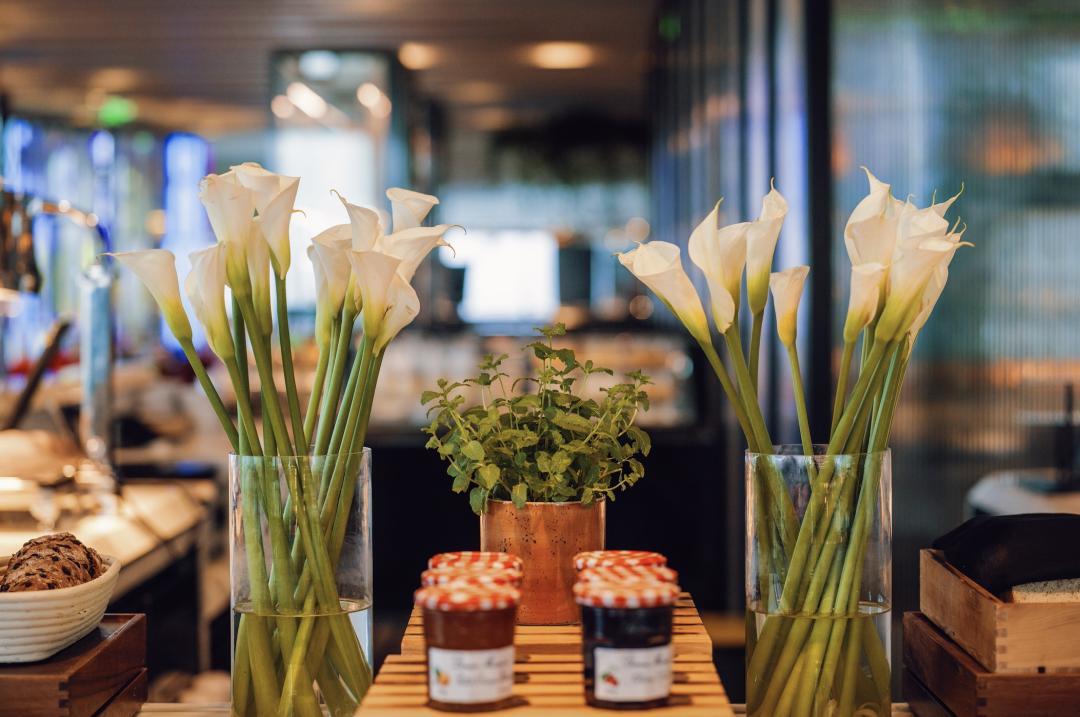 这世界是个巨大的游乐场,这世界就是巨大的游乐场