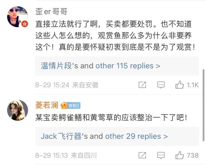 “水中杀手”鳄雀鳝仍有电商大量售卖，外来物种管控该何去何从？