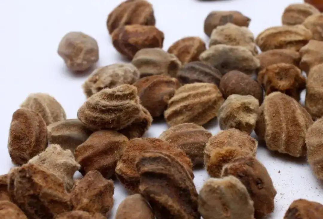 10年的老玩家,10年老玩家