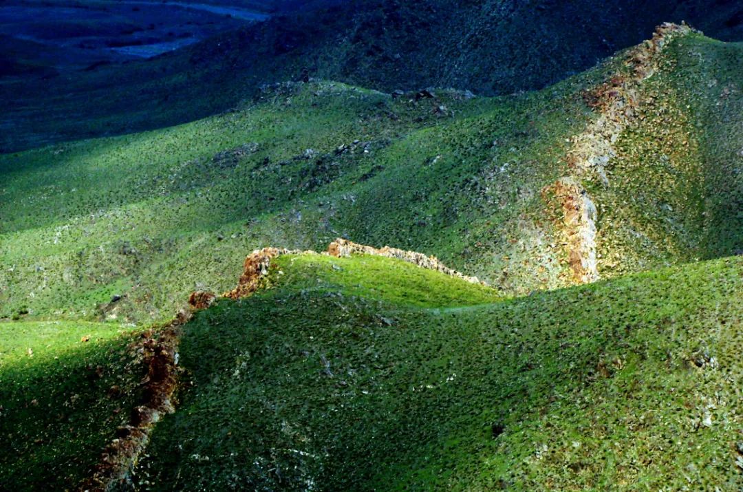 端午小长假,五月的巴彦淖尔风景
