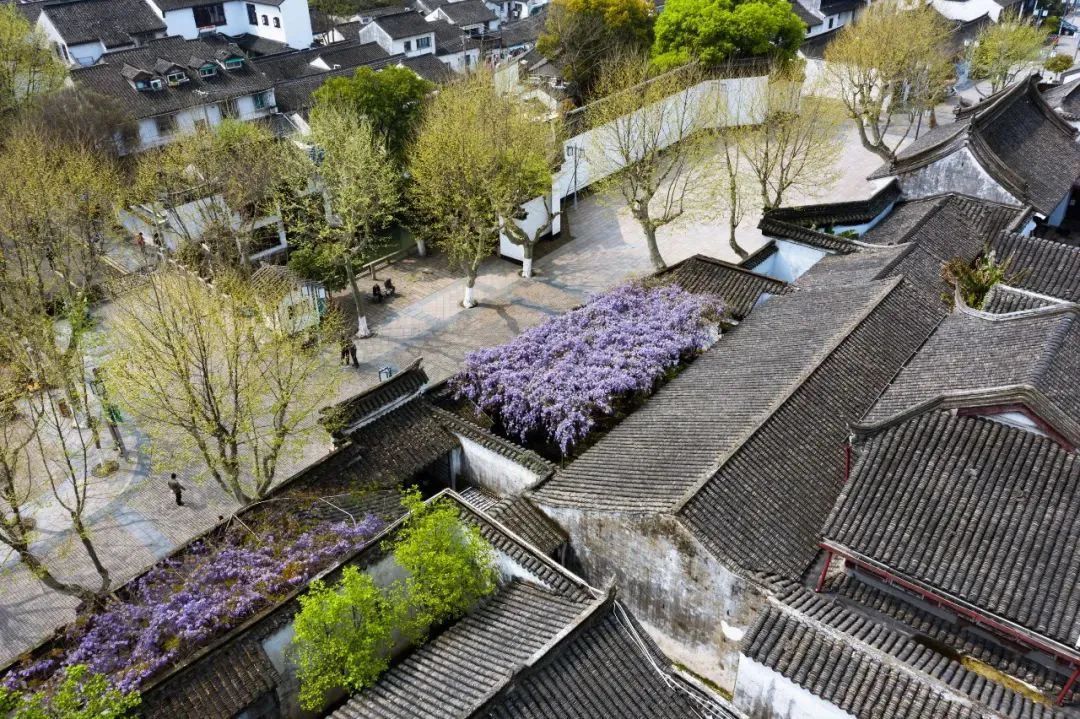 江南最美的城市,江南最好的风景城市